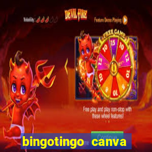 bingotingo canva pro gratis